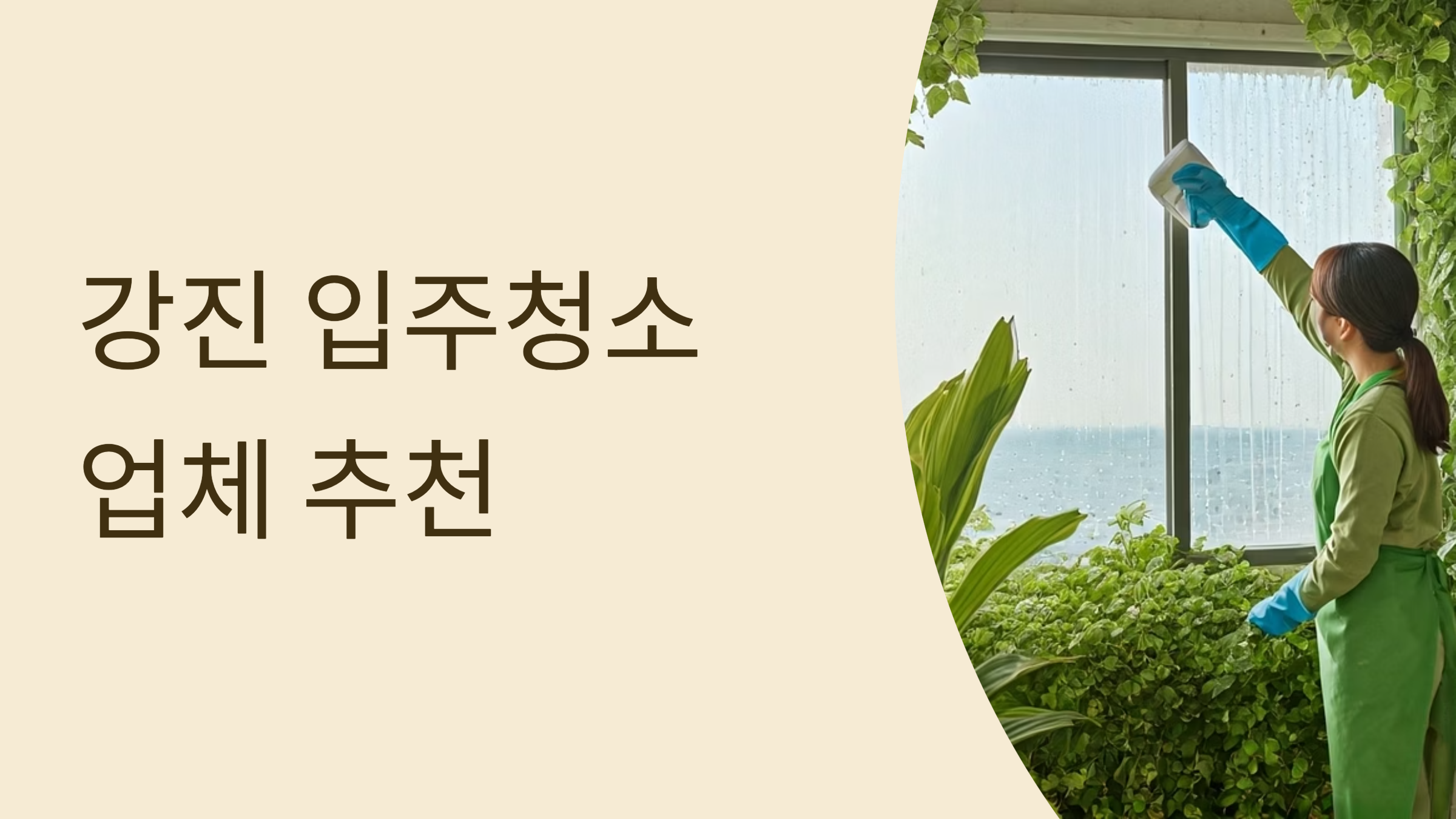 강진 입주청소 업체 대표이미지