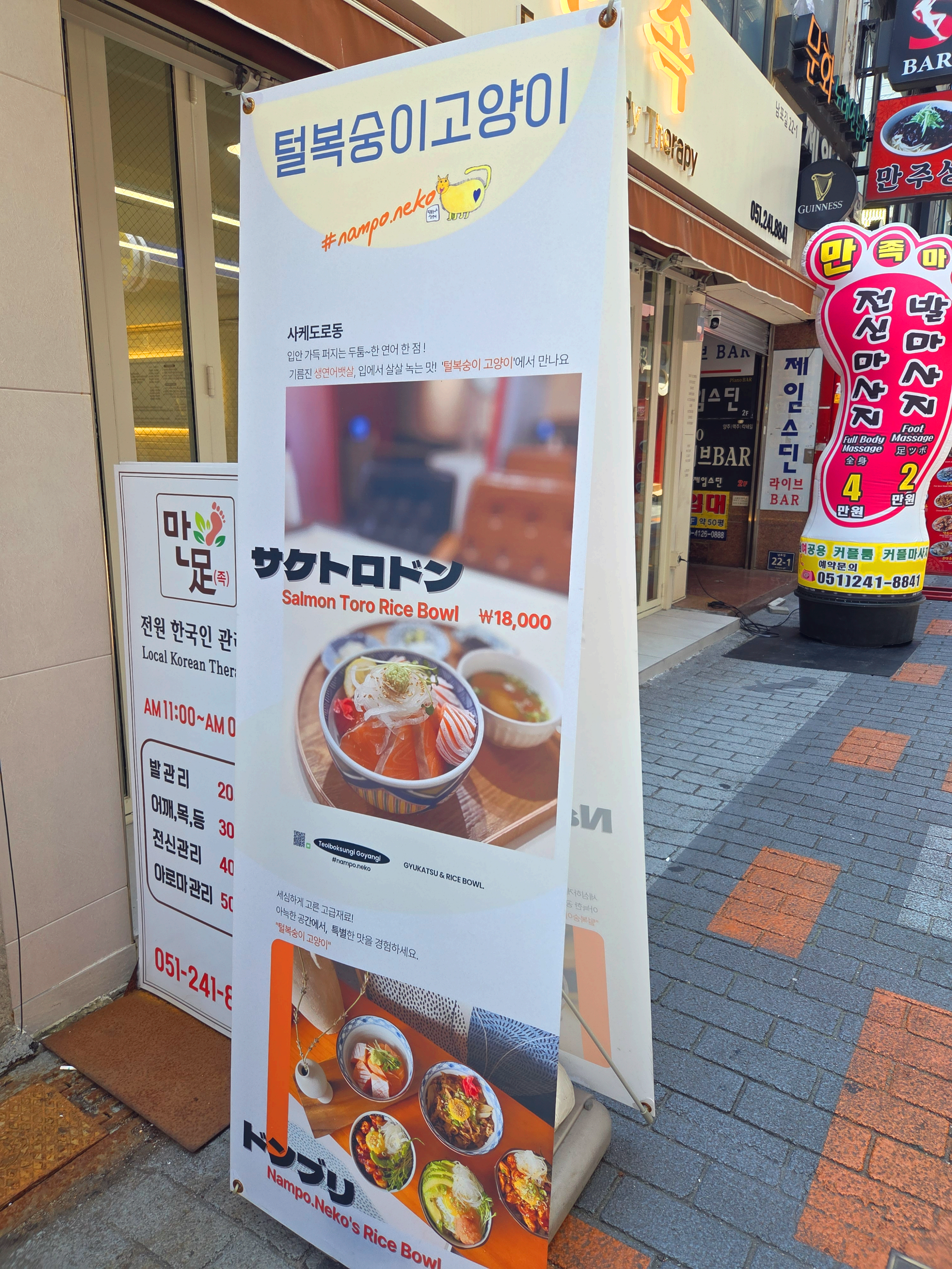 털복숭이고양이