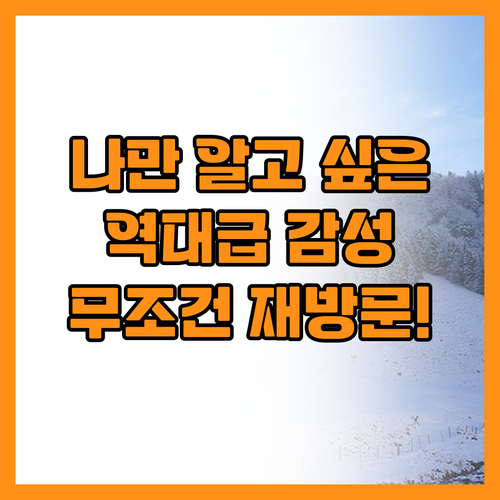 재방문 욕구를 부르는 숨은 명소와 감..