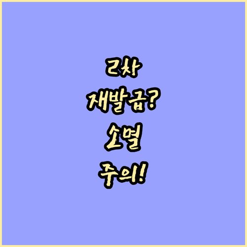 민생회복 소비쿠폰 2차 재발급 불가 ..