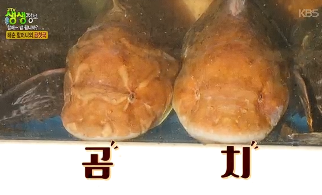 울진 곰치국 맛집｜겨울에 찾기 좋은 유정식당 정보 정리