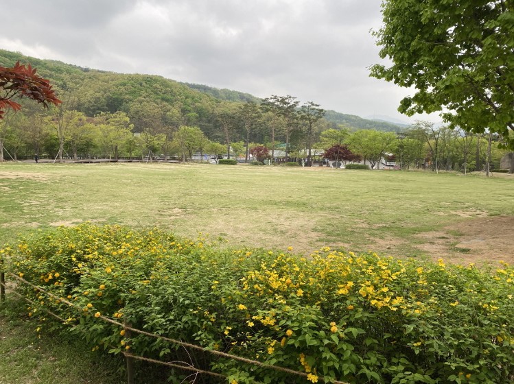 용인자연휴양림예약하기