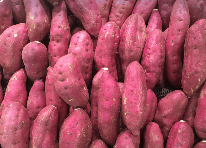 폐에 좋은 음식