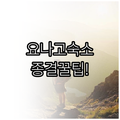 직접 분석한 요나고 인기 숙소 특징과..