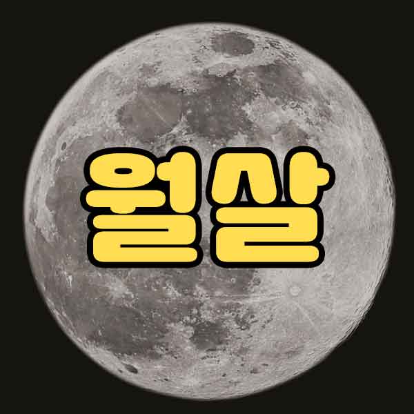 월살 - 썸네일