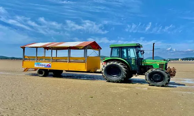 선도리갯벌체험장