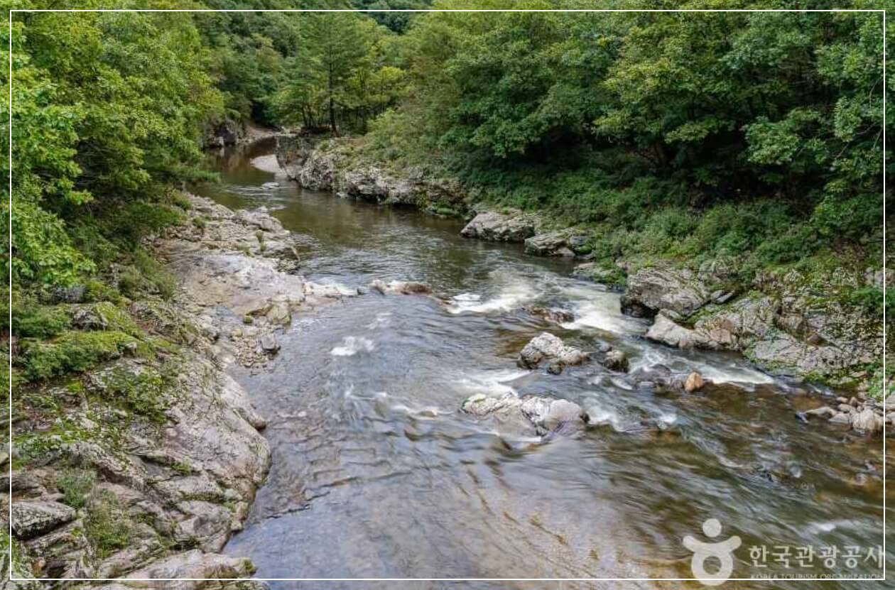 양구 가볼만한곳 베스트10 두타연