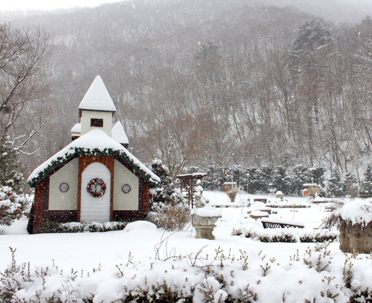 평창 가볼만한곳