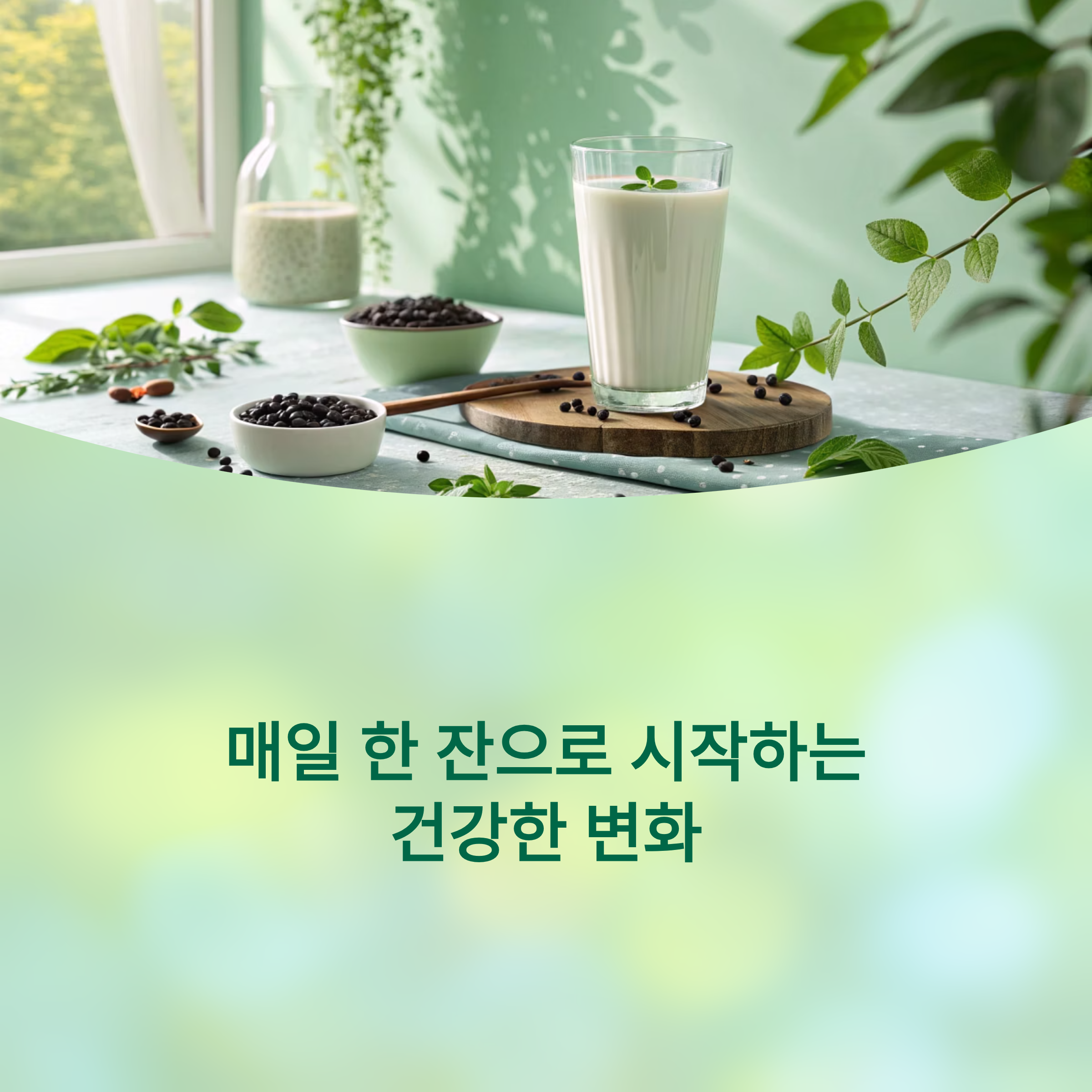 검은콩 분말