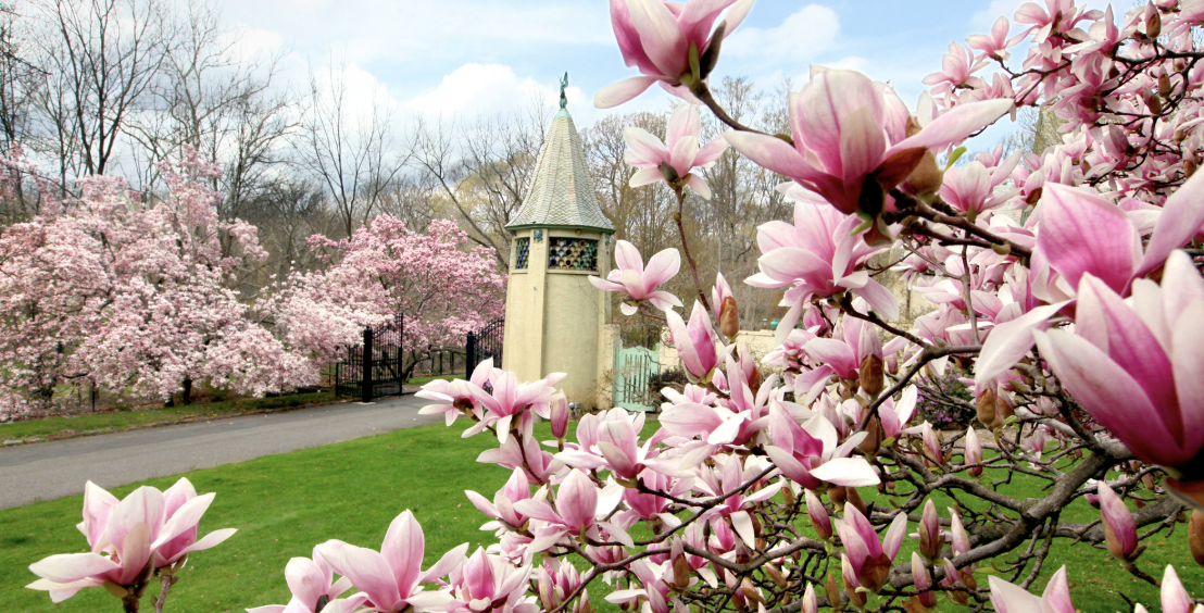 뉴저지주의 숨은 명소 관련 사진