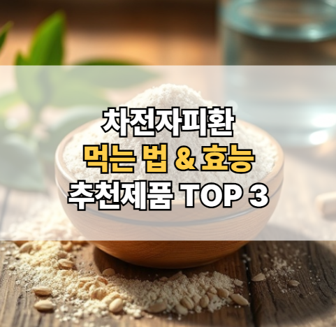 차전자피환-효능-먹는법-추천