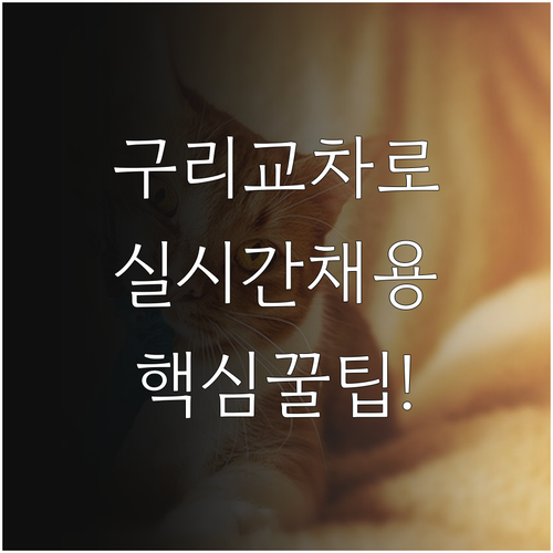 구리 교차로 구인구직 이용 방법과 실..