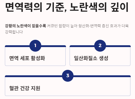 강황가루 효능