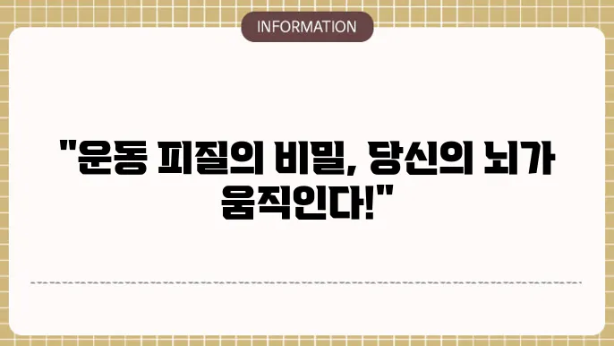 운동 피질 (Motor Cortex)