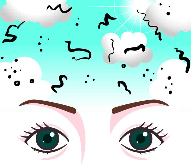 비문증 증상 2가지 및 수술 비문증 유리체 절제술이란?