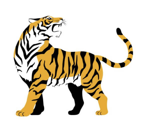 2024년 범띠 운세