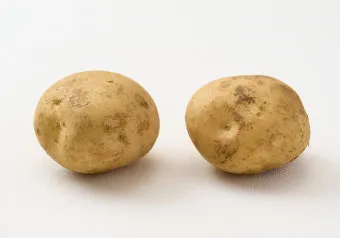 감자 심는 시기 재배 방법_39