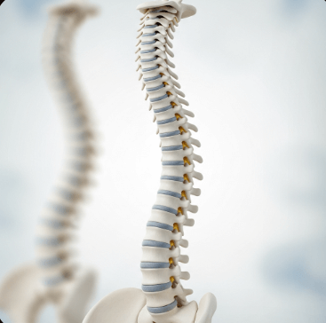 골다공증 주사 치료 완벽 가이드19