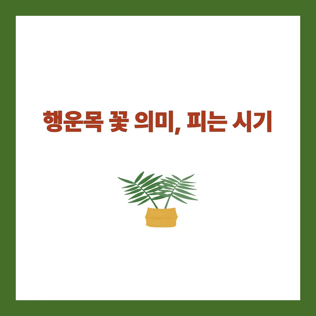 행운목 꽃