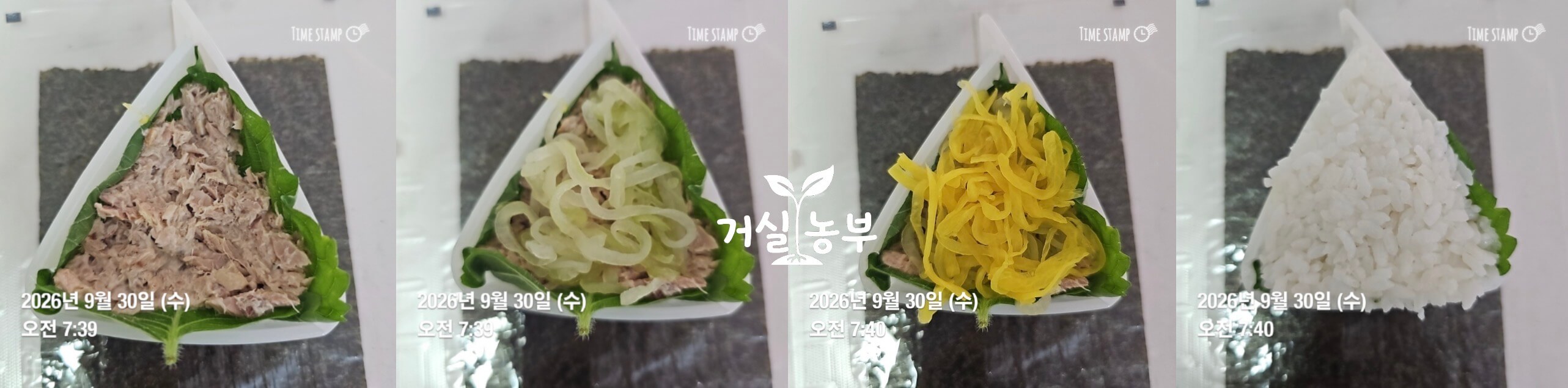 직접 키운 수경재배 깻잎과 참치 단무지로 깻잎 참치 삼각김밥을 만드는 과정