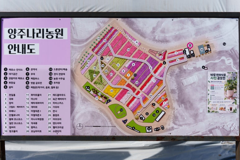 양주-나리농원-안내도
