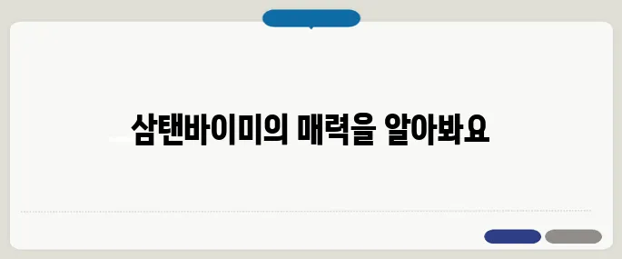 삼탠바이미 포스터·출연진·회차 정보
