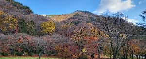 내장산단풍-5