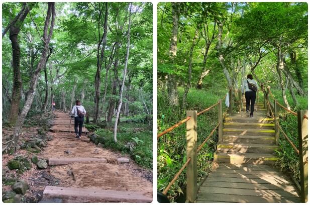 등산로 초입 코콧넛 매트와 나무계단