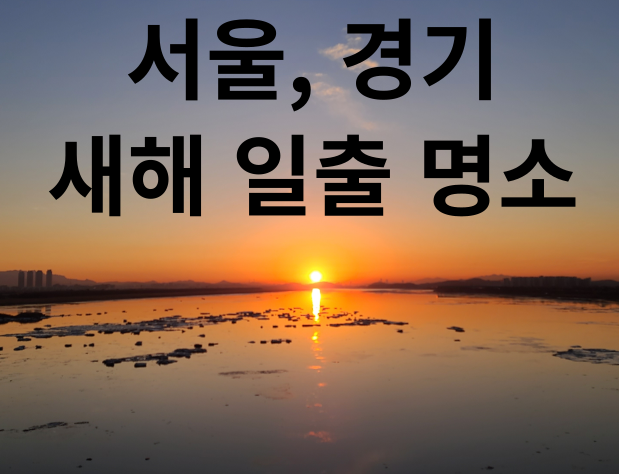 바다 지평선 해가 뜨는 사진