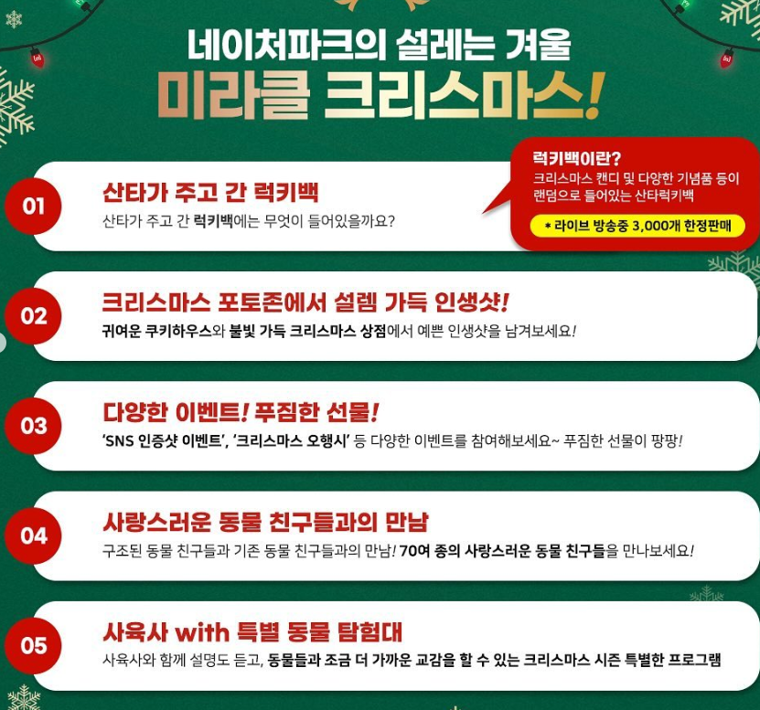 미라클 크리스마스 프로그램