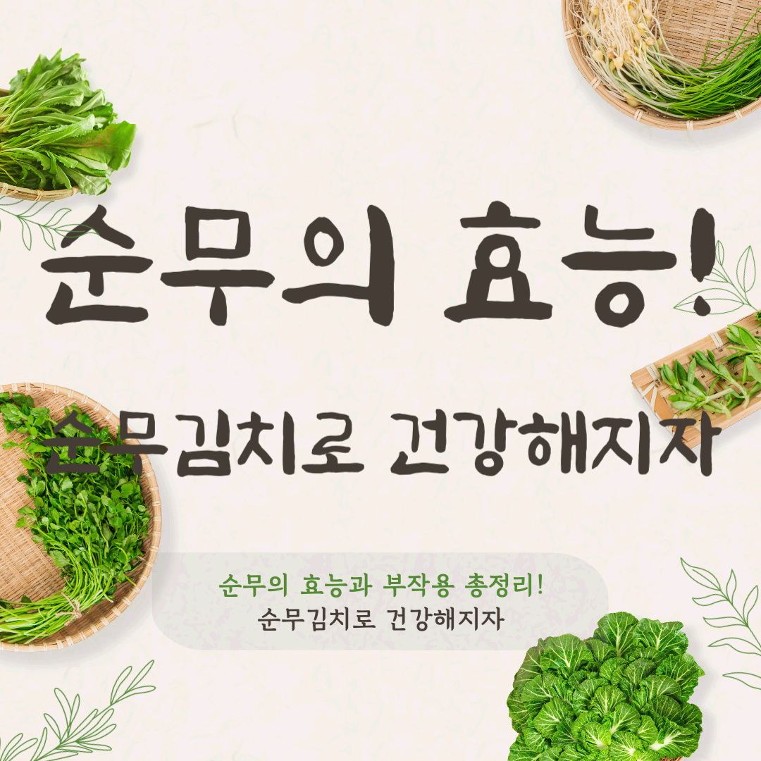 순무의 효능과 부작용 총정리, 순무김치로 건강해지자