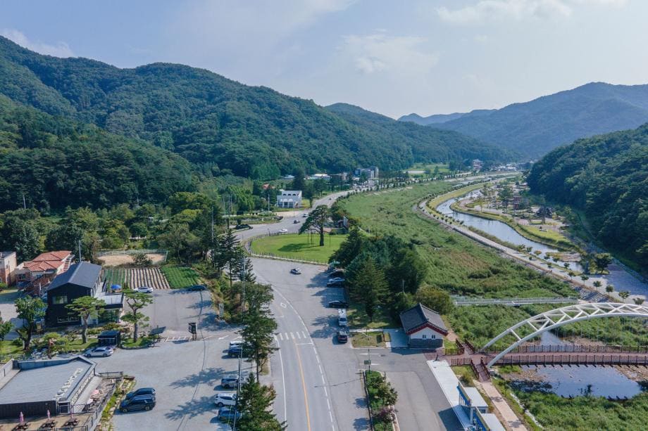 정이품송