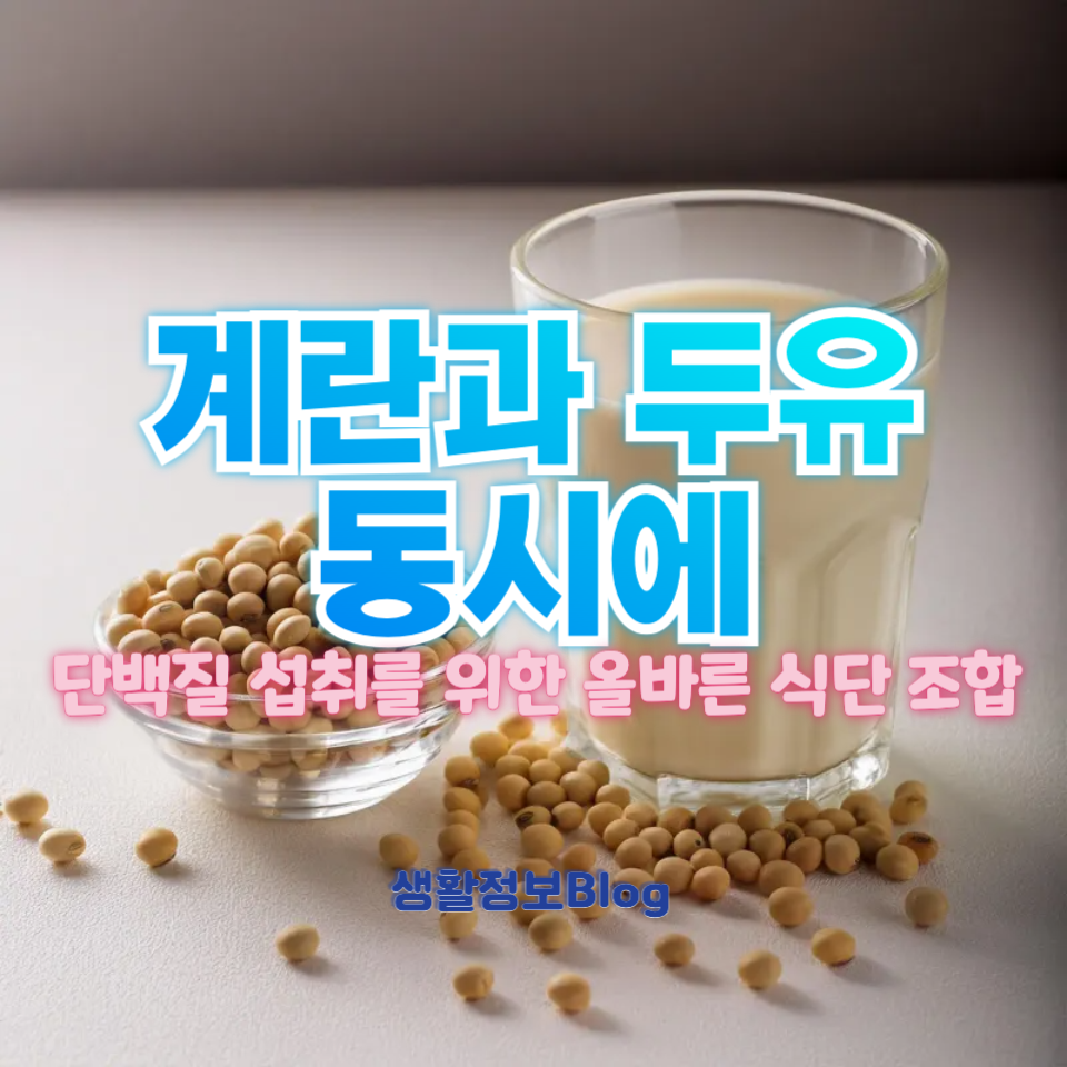 단백질 섭취할 때 계란과 두유를 동시