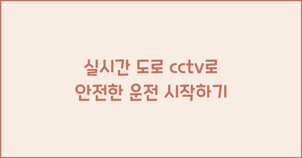실시간 도로 cctv