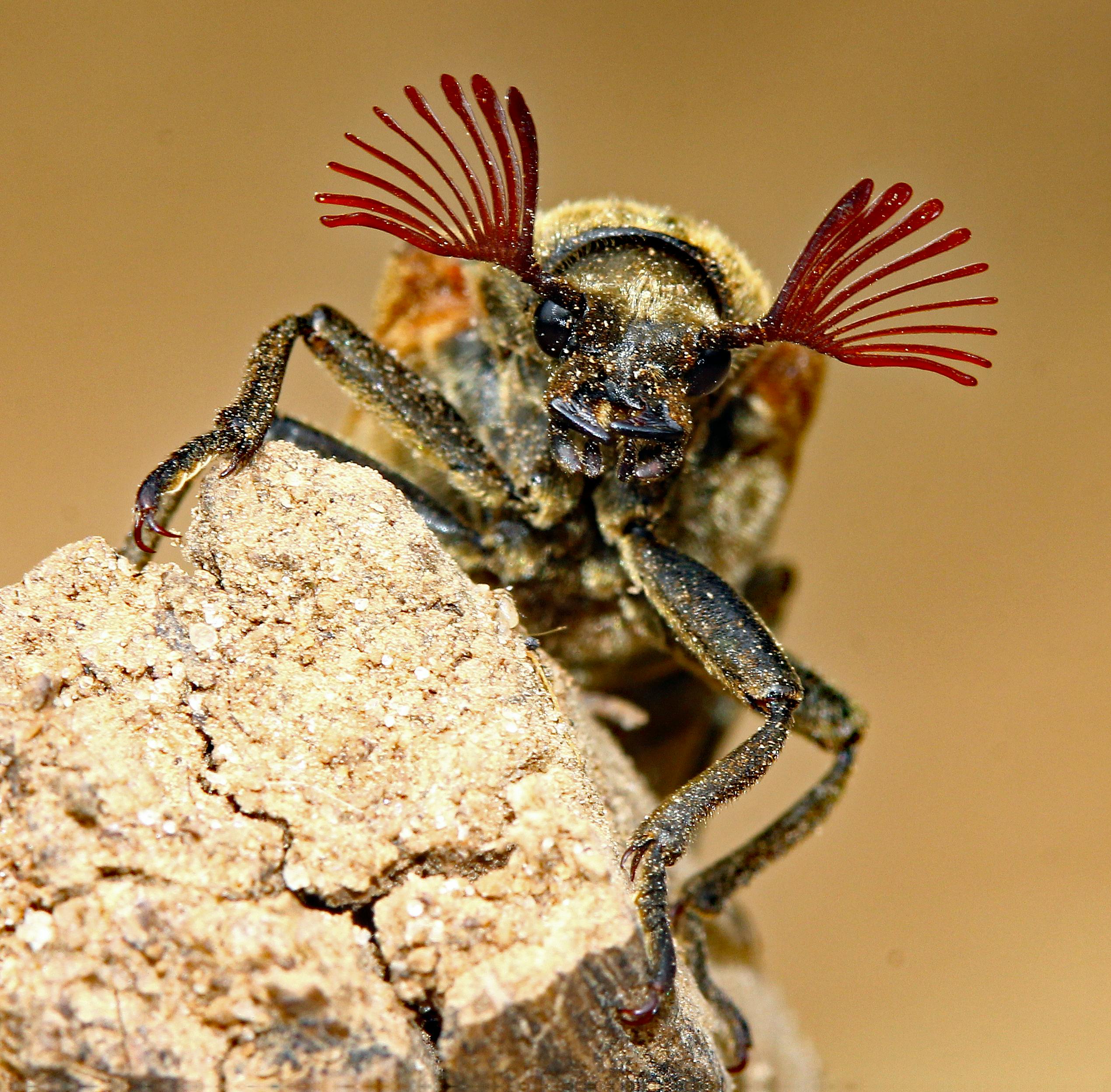 라이나 손해 보험 vs Chubb 여행자 보험: 실속형 후기와 청구 팁 총정리!