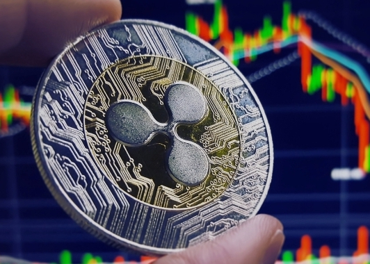 리플(XRP) 2024년 가격 분석 상승 요인과 리스크 정리