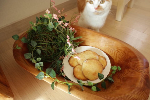 맛있는쿠키만드는법