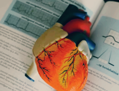 심부전증 치료법