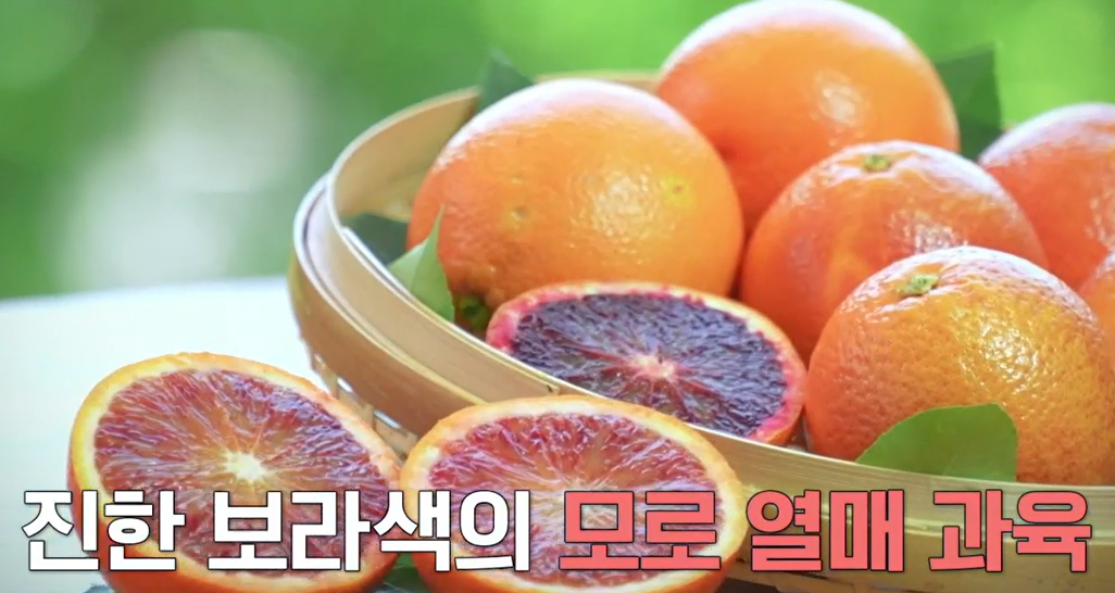 모로실