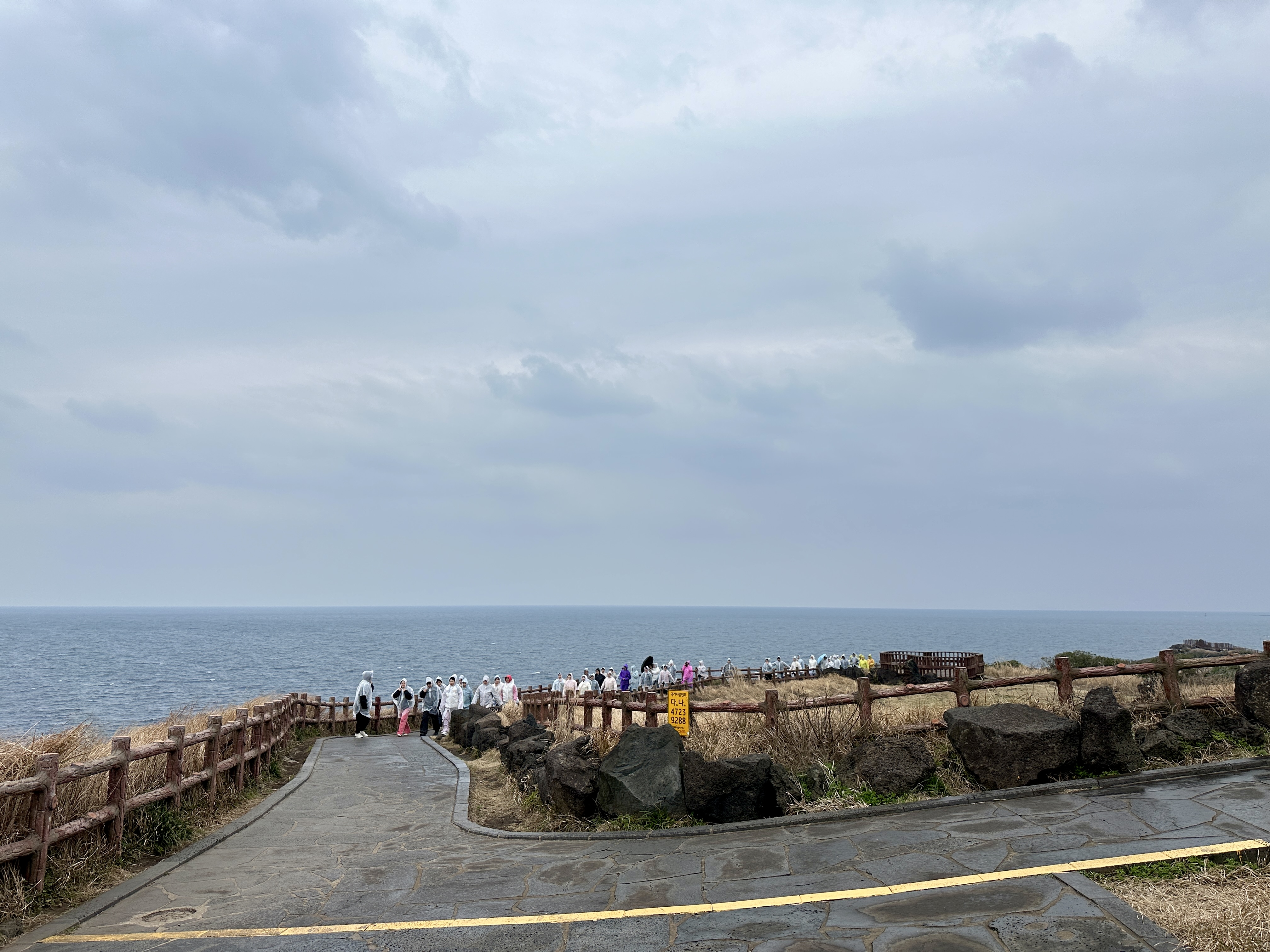 올인휴게소로 돌아가는길 만난 단체관광객