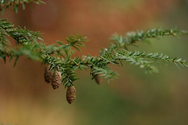 초등학생 수족구 격리기간 등원 등교
