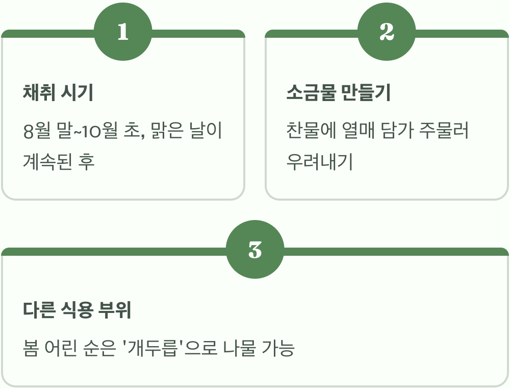 붉나무 열매, 정말 소금 맛이 날까? (직접 먹어본 후기)