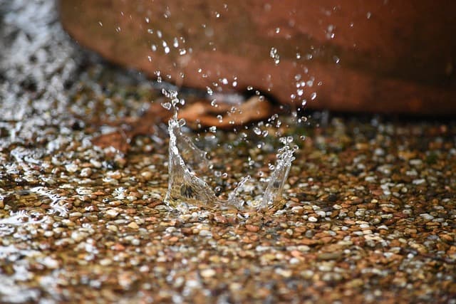 무죄 판결 후 검사의 재기수사 가능성과 한계
