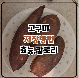 고구마 저장방법-효능-칼로리