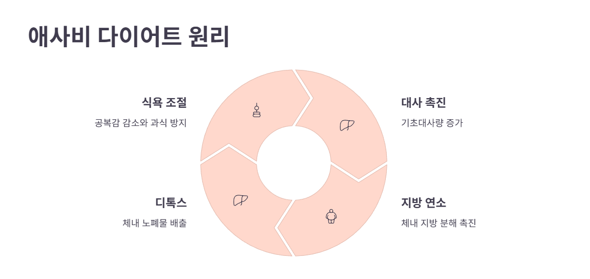애사비 다이어트 효과 및 원리