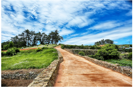 전남 다도해 핵심 코스 (완도, 진도, 해남)