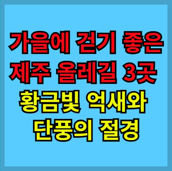 가을에 걷기 좋은 제주 올레길 3곳, 황금빛 억새와 단풍의 절경