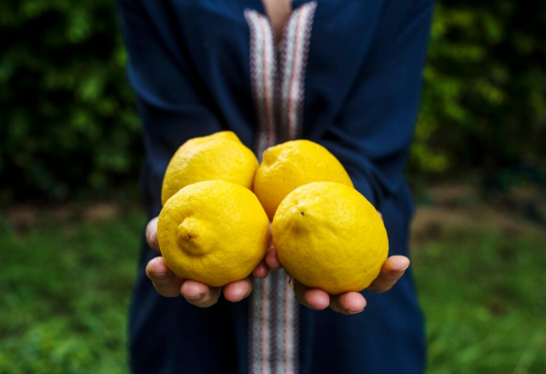 레몬의 효능과 효과