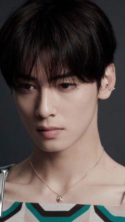 차은우 조세심판 청구 이유: 국세청 130억 세금 완납, 연예인 1인 기획사 실질과세 쟁점 정밀 분석