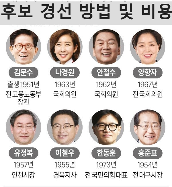 정당 내 후보 경선 방법 및 비용